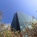 금영통상 이미지