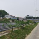 진천군 덕산 진출입 좋은 저렴한 공장 추천 이미지