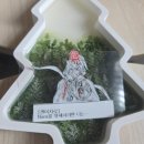 신정희춘천숯불닭갈비 - 부천시 원미구 도약로 13 | 신정희춘천숯불닭갈비