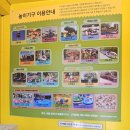 푸르른 5월의 강이나 일상