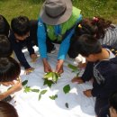 대중초등학교 이미지