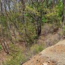 전주 이씨 영해군파 묘역 이미지