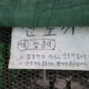 유동연못 무인카페