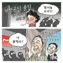 양털뉴스와 시사만화~ 이미지