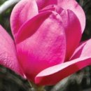 중부대학교 원격대학원 이미지