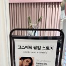 감탄스토어 | [트랜드 LAB] 신세계 강남점 YSL 뷰티 팝업 스토어 방문 후기(2/26)