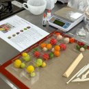 발안바이오과학고등학교 이미지