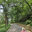 꽃사슴화원 이미지