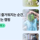 아미캠핑장 이미지