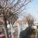 뉴태양공인중개사사무소 이미지