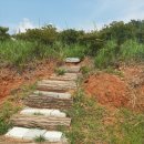 연석농장 이미지