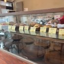 응암애견 이미지