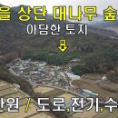 [전남 곡성]아담한토지 250만원,도로,전기,수도OK,마을 상단 대나무 숲속,전원주택지,시골살이,주말농장[땅지통] 이미지