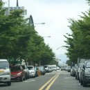 버들1길 이미지