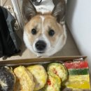 오멍가멍(OMGM) 이미지