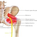 장하림한의원 이미지