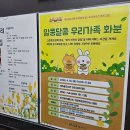 키다리농원 | 수원시 도서관의 날.도서관주간 프로그램. 알콩달콩 우리가족 화분만들기. 대추골 도서관
