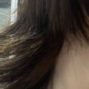 빈헤어비즈울산점