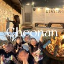 스테이118-1 이미지