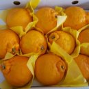 천안시노인종합복지관 별관 이미지