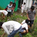 녹전초등학교 이미지