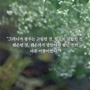 Re: RE : 노벨문학상 특집 - ‘소년이 온다’ 한강 저 (2014), 2017 말라파르테 수상작 이미지