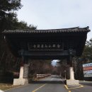 [전남 구례] 지리산 화엄사 / 108사찰 성지순례 #4