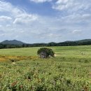 들가운데농장 이미지