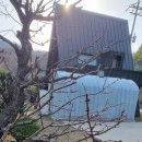 캐빈빌리지 펜션 이미지