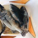 황금펜션민박 이미지