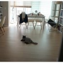 미소청소대행 이미지