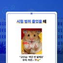 유어팔레트