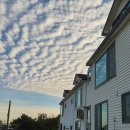 안면도 빨강펜션 이미지