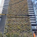 미주타운 | 일본 여행(2일차) 후기(스시, 고베 - 이쿠타신사...이진탄 거리(셜록홈즈 주택), 하버랜드, 차이나타운)