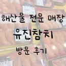 (주)수참치 | 해산물매장 인천 '유진참치' 방문후기!