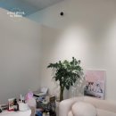 하이멍냥 강아지분양 고양이분양 서울본점 이미지