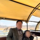 내고향 마차 | 단양 도담삼봉 관광마차 후기｜3km 옛길을 달리는 5천원의 행복