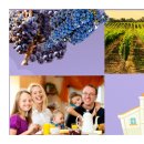 청양감리교회 이미지