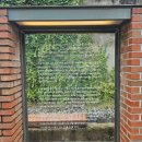 이길래 생성과응집 이미지