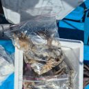 푸른소리오션 이미지