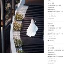 [W8] 소노펠리체 본식스냅 업체 비교｜오브프레임 계약 후기