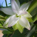 광산구-011 이미지