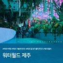 호수대중목욕탕 | 가볼만한 곳 추천ㅣ"워터월드 제주" 실내 미디어아트 전시 : 가격/주차/티켓구매꿀팁 (내돈내산 솔직후기)