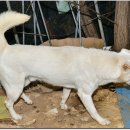 광탄한의원 이미지