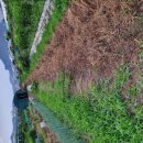 득성농장 이미지