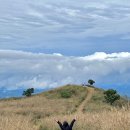 황매산 억새축제 | 합천 억새명소 2025 황매산 억새축제 첫날 다녀온 후기