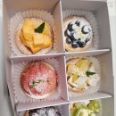 타르트엘 고운점