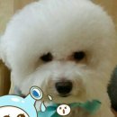 깍새미용실 이미지