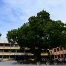 용미축산 이미지