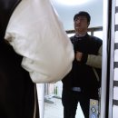사계절의류